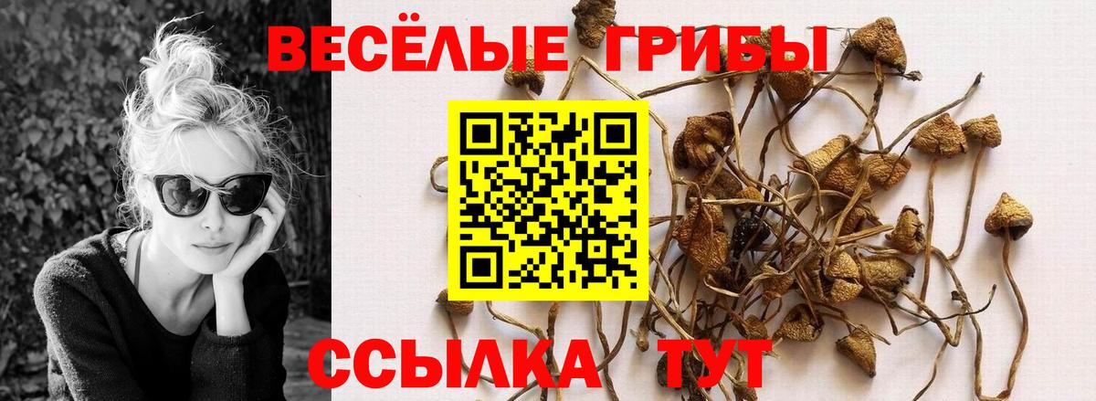Галлюциногенные грибы мухоморы  Вход с VPN  купить закладку  Псилоцибиновые грибы MAGIC MUSHROOMS  Калининград 