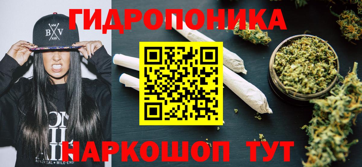 Конопля индика Калининград